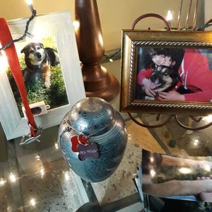 Meet your Posher, Jenny